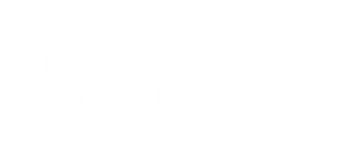 Siri's Dental World — Clinicly One client